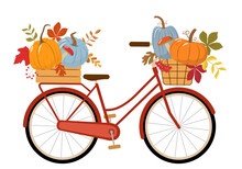 Cute Vintage Red Bicycle, Wood Crate And Basket With Pumpkins, Colorful Autumn Leaves, Rowan Berries, And Forest Mushrooms. Isolated On White Background. Vector Illustration.