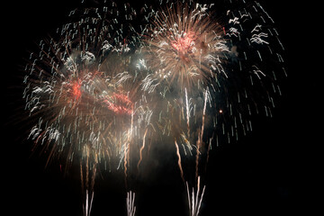 Fireworks display in black sky background to celebration, Festival, New Year