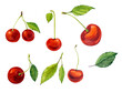 Red cherry. Watercolor clip art. A set of cherries on a white background.