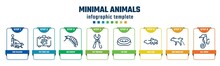 Minimal Animals Concept Infographic Design Template. Included Dog Walker, Pet First Aid, Big Shrimp, Pet Trimmer, Pet Bed, Gold Fish, Dog Urinating, Sea Horse Icons And 8 Options Or Steps.