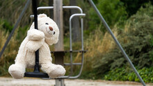 White Teddy Bear, Doing The Zip Line, In The Middle Of Nature