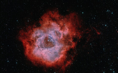 Wall Mural - Rosette Nebula complex