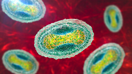 Poster - Molluscum contagiosum virus, 3D illustration