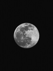 Sticker - Black and white moon premium photo