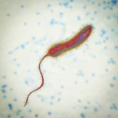 Sticker - Vibrio cholerae bacteria, 3D illustration