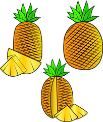 Canvas Print - vector illustration of colorful pineapple doodle full and half