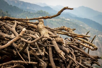 Sticker - Closeup of a pile of twigs with mountains in the background