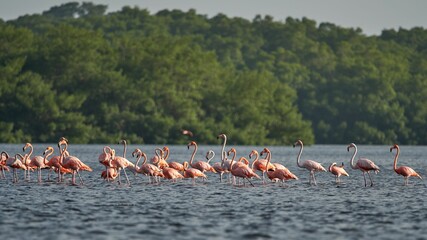 Canvas Print - Beautiful shot of a flamboyance of pink flamingos wading in the water on a forest background