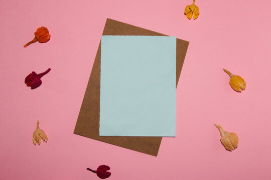 cardboard with pastel blue copy space on a pink background on which are dried flower head, creative modern art design