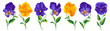 Set of vector realistic flowers Pansies, Viola. Yellow, Purple, Blue with yellow, two-color plants with bright lettuce leaves isolated on white background clip art. Readymade elements for your design.