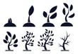 Seed to Tree grow up Collection Silhouettes Premium Vectors