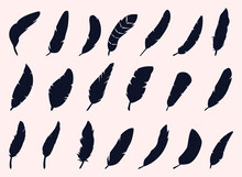 Feathers Collection Silhouettes Premium Vectors