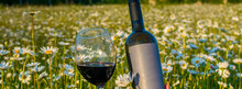 Wine In A Chamomile Field