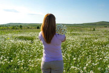 Sticker - Girl in a chamomile field