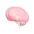 human brain 3d icon. Pink brain with cerebellum and beginning of the spinal cord. Isolated object on a transparent background