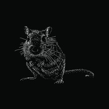 Gerbil Hand Drawing Vector Illustration Isolated On Black Background