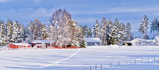 Wall Mural - Nordic winter landscape. Panoramic view of the covered with frost trees in the snowdrifts. Magical winter forest. Natural landscape with beautiful sky.