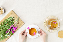 Woman Hands Holding Herbal Tea From Kipreya Leaves In Cups On Fabric Table Background, Fireweed Green Leaf And Flower On Wooden Tray. Flavored Herbal Tea From Natural Wild Plants, Healing Beverage