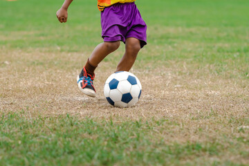 Wall Mural - Football soccer children training class. Kindergarten and elementary school kids playing football in a field. Group of boys running and kicking soccer on sports grass pitch. Selective focus on ball.