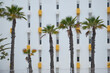 © Westend61 - Spain, Province of Las Palmas, Maspalomas, Palm trees growing in front of white painted apartment building