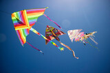 Fototapeta Sypialnia - Series of colorful kites flying in the blue sky