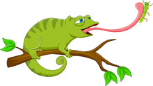 Cartoon Chameleon Catching Grasshopper With Tongue