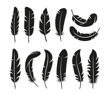 Isolated Feather Silhouettes. Flat Black Feathers, Vintage Bird Plumage Elements. Smooth Graphic Shapes, Flying Decorative Elements Tidy Vector Collection