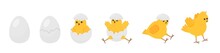 Chick Born. Easter Newborn Chicks Hatching From Egg. Yellow Cute Cartoon Chicken, Farm Baby Bird. Little Domestic Animal, Funny Decent Vector Banner