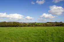 Typical Devon Countryside With Gentle Hills With Green Fields, Hedges And Woodland With A Blue Sky And A Few White Clouds