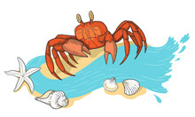 Red Crab On A Sunny Beach In The Sand. Realistic Shells, Crab And Starfish At The Sea. Graphic Sketches Of Crustacean Animal.