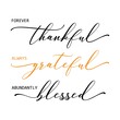 Vector illustration with quote Forever Thankful Always Grateful Abundantly Blessed isolated on white background. Fall, autumn poster for family holidays, Happy Thanksgiving, home decoration.