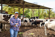 Farmer Cowboy At Cow Farm Ranch