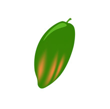 Pawpaw Fruit Papaya Pepaya Green Oval Fruit Illustration