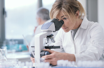 Wall Mural - medical researcher working in the lab