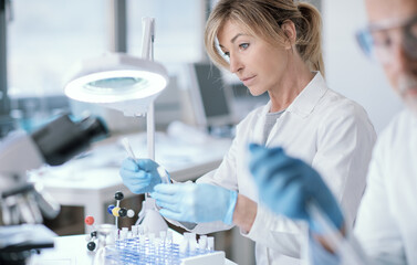 Wall Mural - research team working in the lab