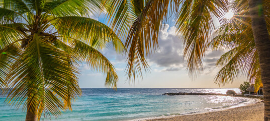 Wall Mural - Sunshine through palm trees on tropical beach in Curacao. Summer vacation banner.