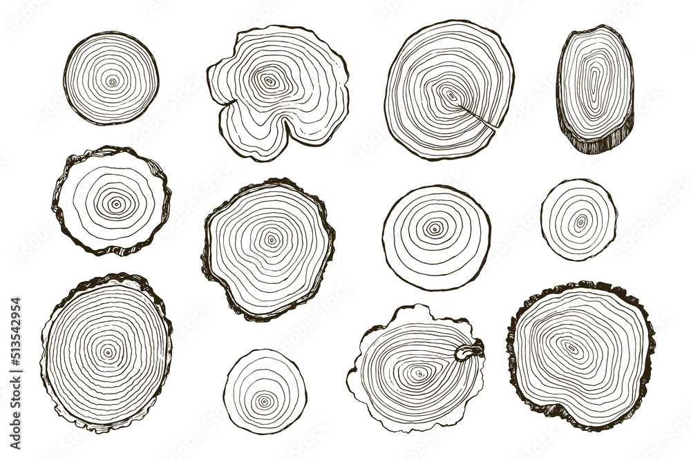 Tree rings vector illustrations set Stock Vector | Adobe Stock