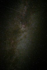 Poster - Vertical shot of the Milky Way galaxy with shiny stars in the night sky