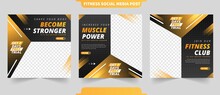 Gradient Health Fitness And Gym Training For Instagram And Social Media Post Collection With Photo Template