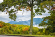 High angle view from near Richland Balsam overlook on Blue Ridge Appalachian mountains parkway in North Carolina with fall leaf colorful foliage and tree in foreground