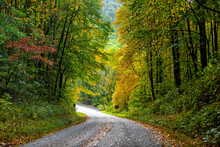 Colorful Yellow Red Green Foliage In Autumn Fall Season In North Carolina Blue Ridge Mountains National Forest Park With Paved Road Path Driving Car Pov In Balsam Gap