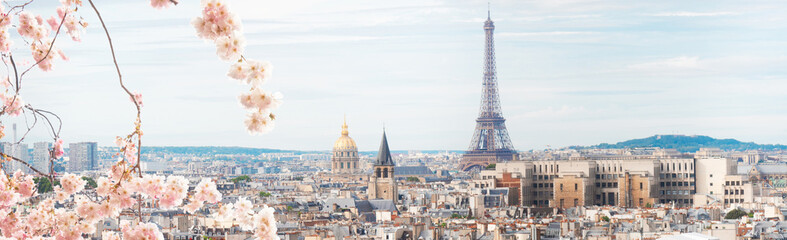 Wall Mural - skyline of paris with eiffel tower