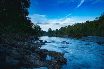 Wall Mural - Beautiful shot of a riverside on a bright day