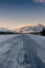 Poster - vertical shot of a landscape with trees and mountains covered in snow in whitehorse, yukon, canada