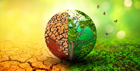 Wall Mural - tree in two with very different environments earth day or world environment day global warming and p