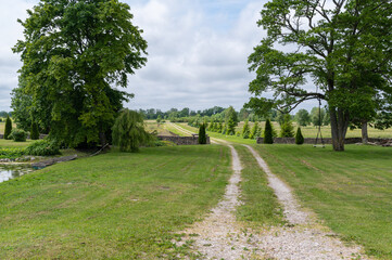 Wall Mural - footpath in the park