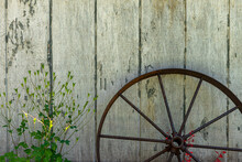 Wagon Wheel Against Old Bard