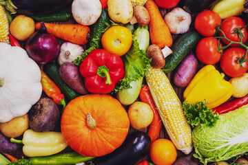  Healthy food background. Assortment of fresh vegetables. Harvest of vegetables