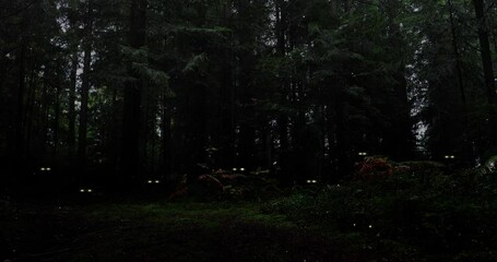 Wall Mural - Scary dark woods with mystic glow eyes. Concept Halloween video.