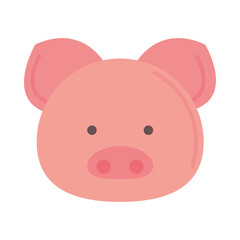 Wall Mural - cute pig head